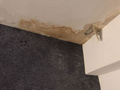 Professional water damage restoration services in Hamilton